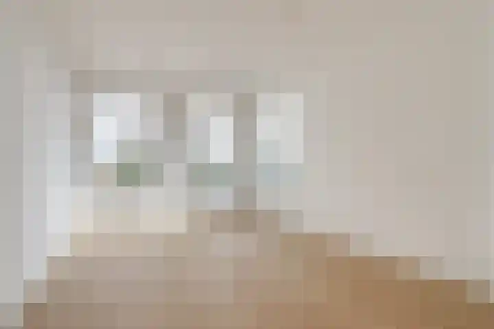 Soestdijksekade 589 Den Haag thumbnail 6