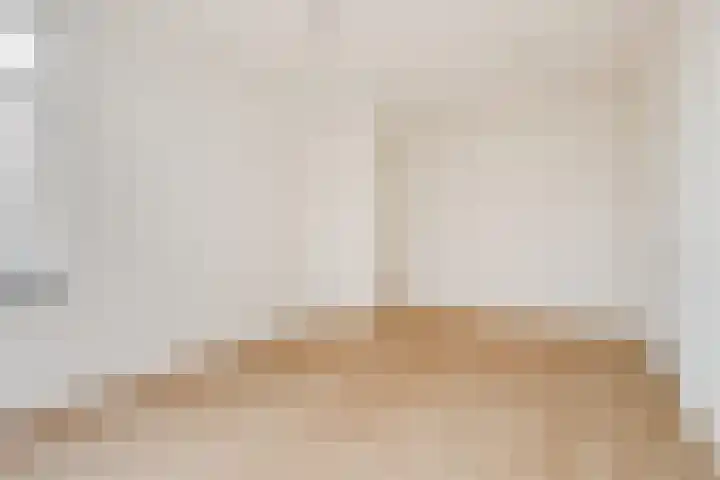 Soestdijksekade 589 Den Haag thumbnail 7