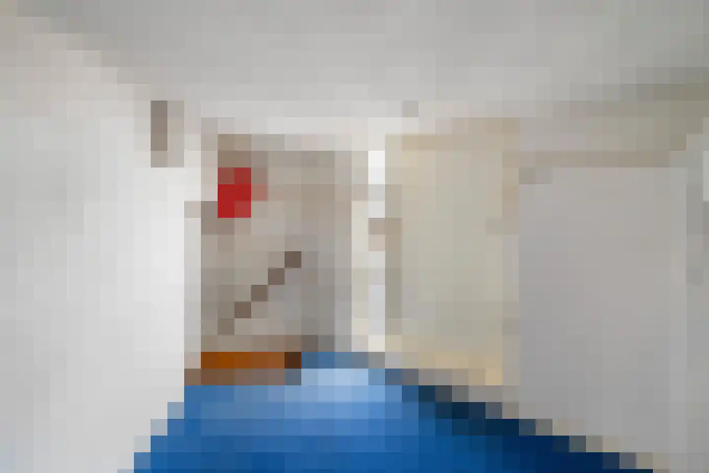 Soestdijksekade 590 Den Haag thumbnail 15