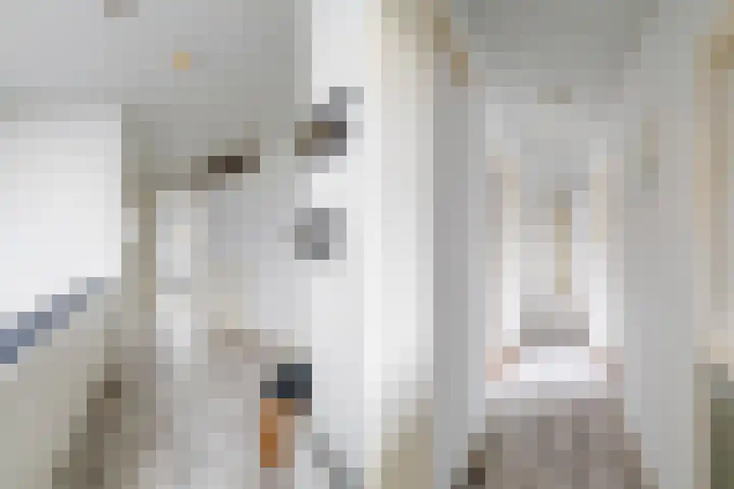 Soestdijksekade 590 Den Haag thumbnail 18