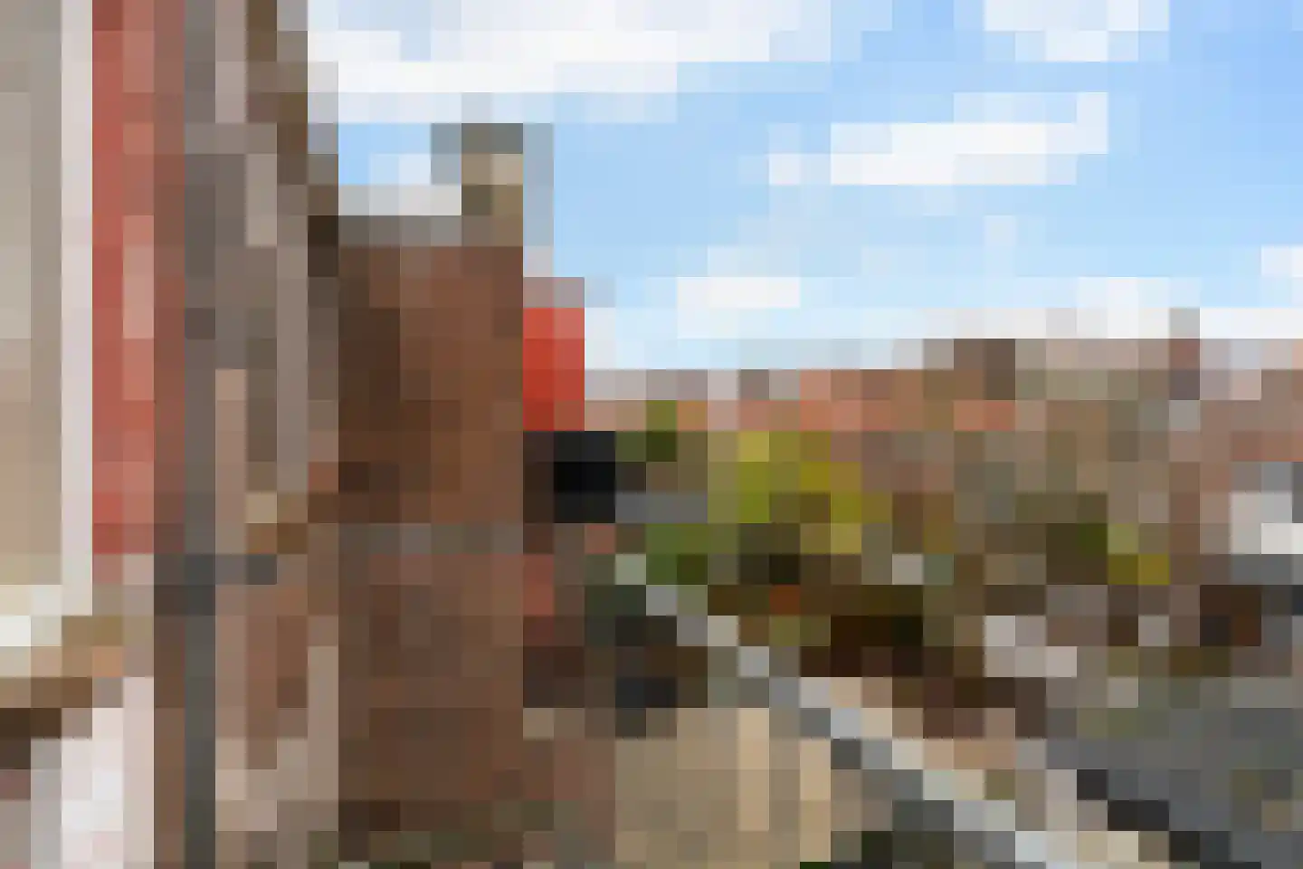 Soestdijksekade 590 Den Haag thumbnail 22