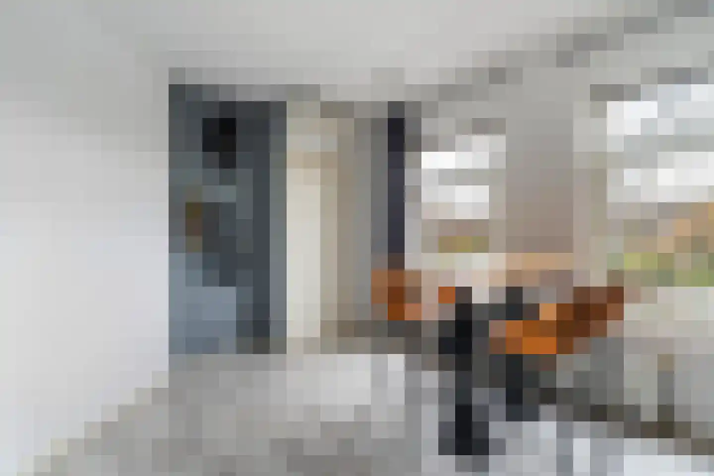 Soestdijksekade 590 Den Haag thumbnail 5