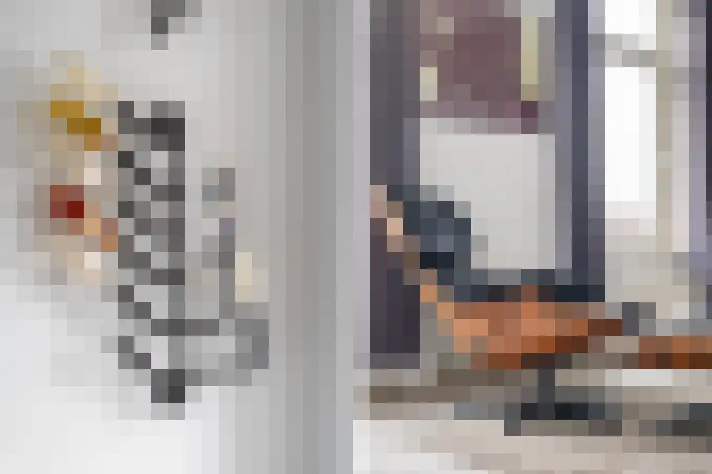 Soestdijksekade 590 Den Haag thumbnail 6