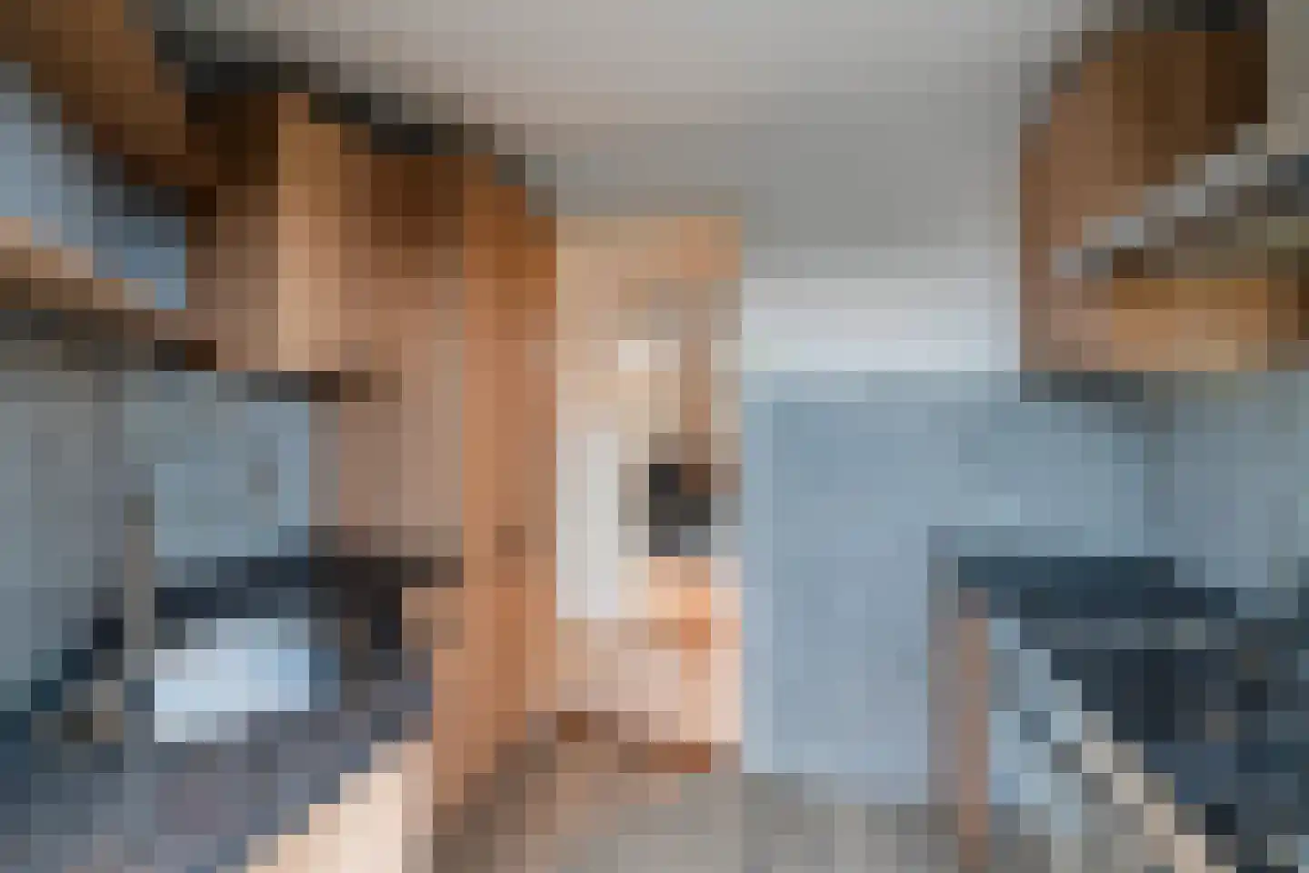 Soestdijksekade 590 Den Haag thumbnail 8