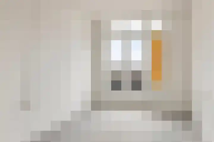 Soestdijksekade 591 Den Haag thumbnail 19