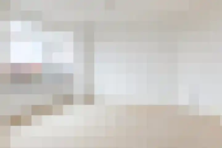 Soestdijksekade 591 Den Haag thumbnail 4