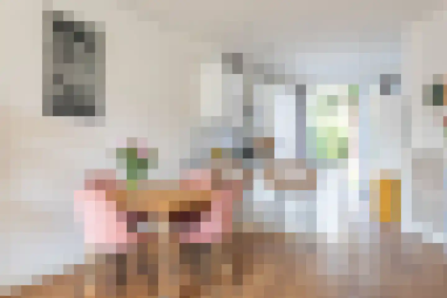 Soestdijksekade 620 Den Haag thumbnail 11