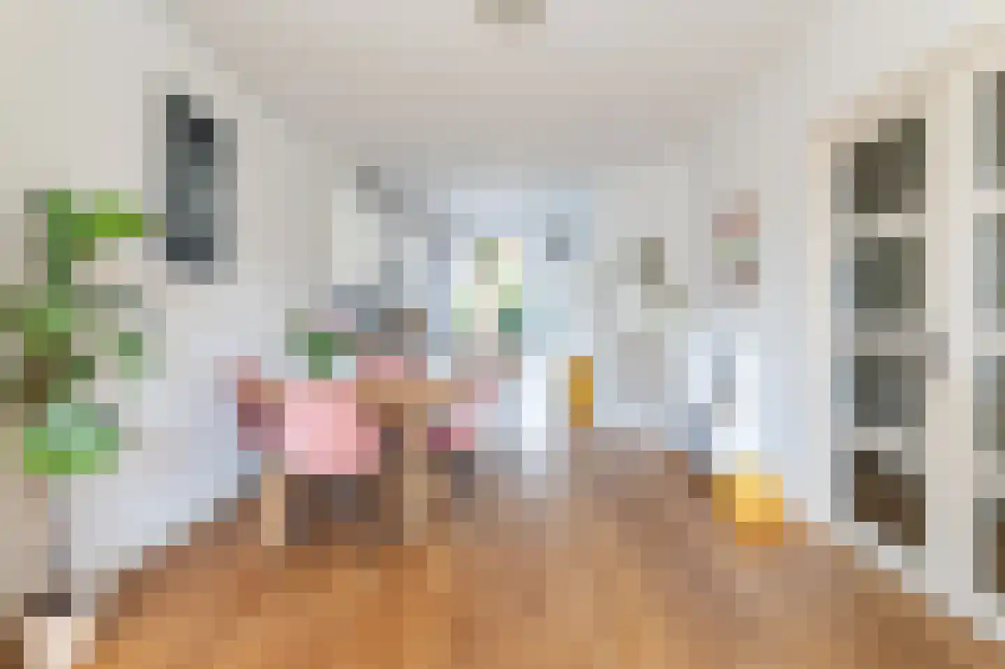 Soestdijksekade 620 Den Haag thumbnail 12