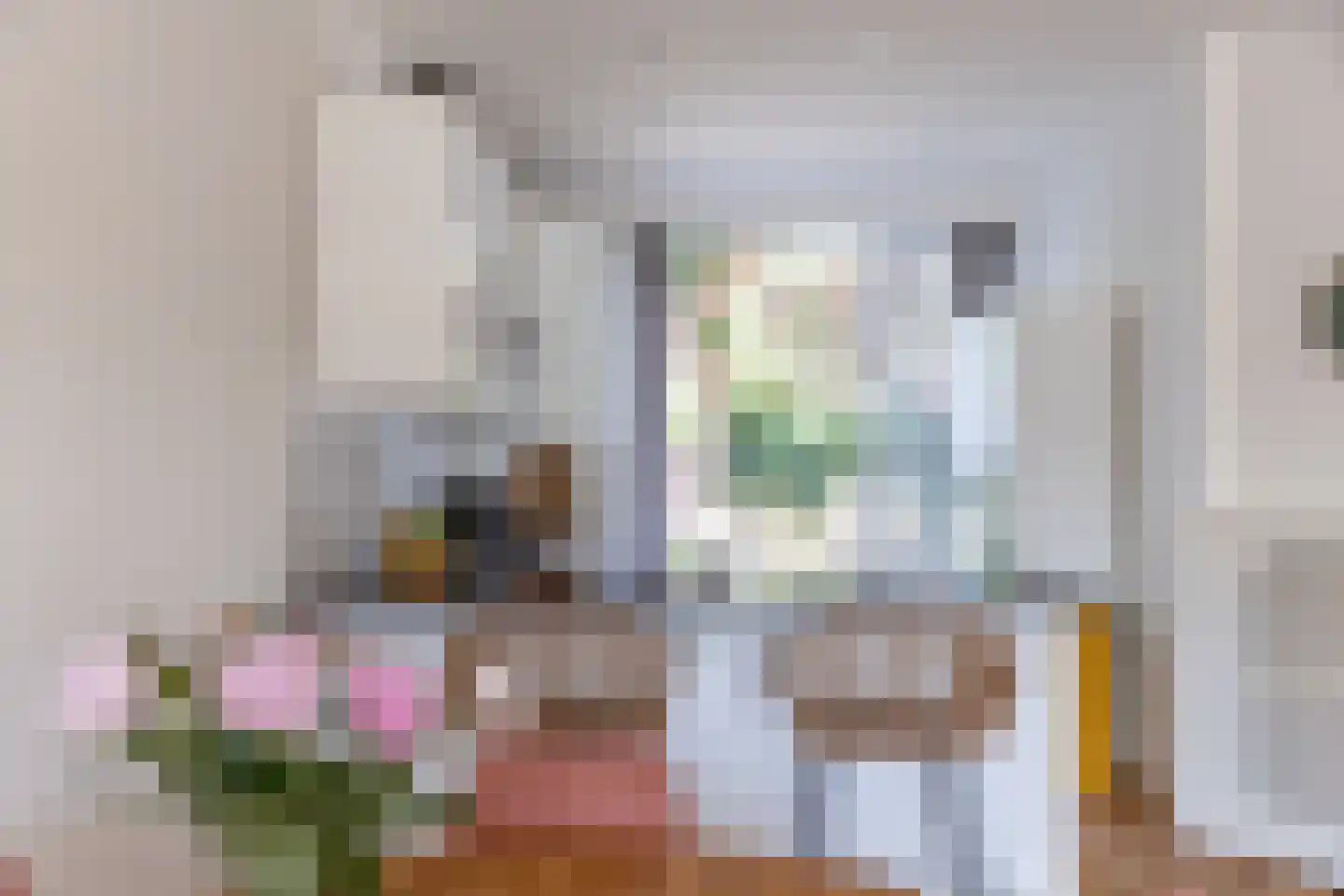 Soestdijksekade 620 Den Haag thumbnail 13