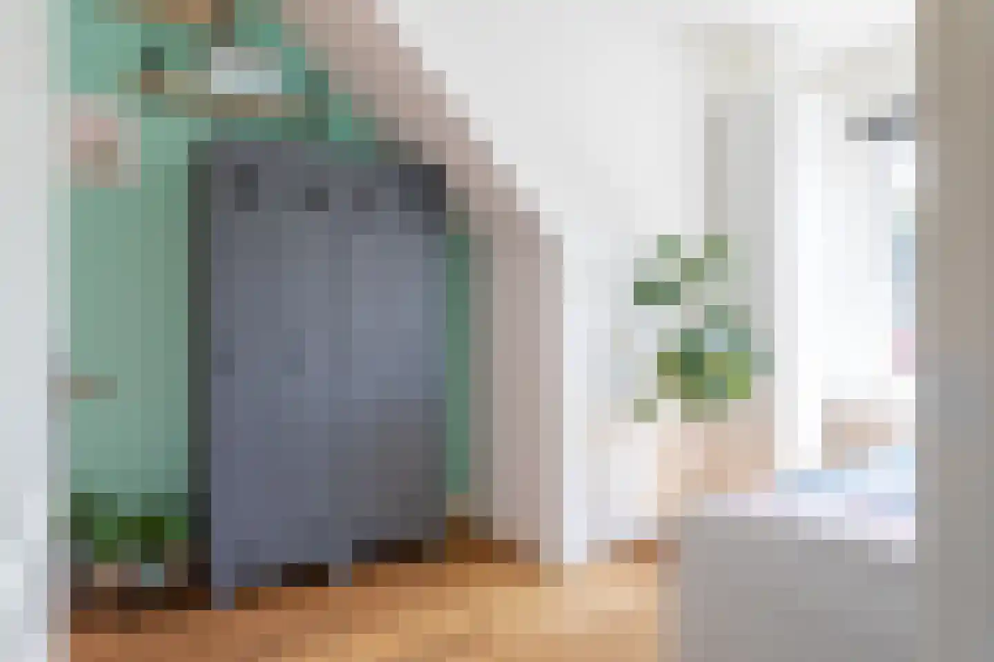 Soestdijksekade 620 Den Haag thumbnail 21