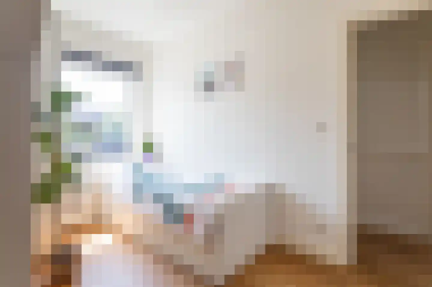 Soestdijksekade 620 Den Haag thumbnail 22