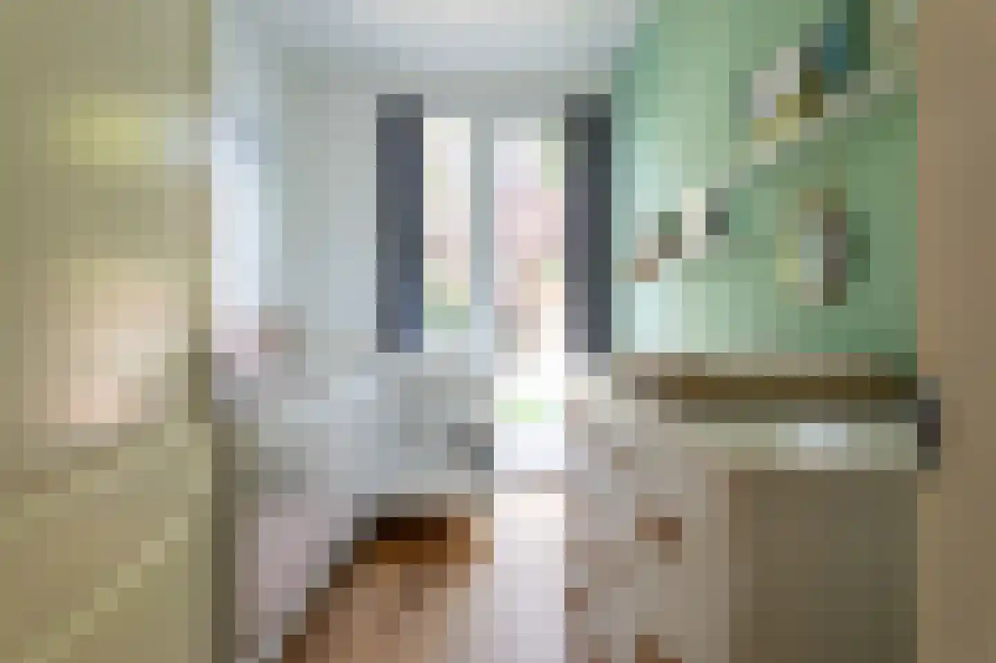 Soestdijksekade 620 Den Haag thumbnail 25