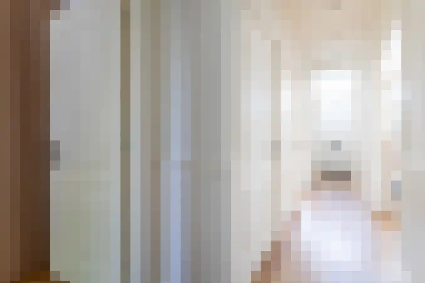 Soestdijksekade 620 Den Haag thumbnail 28