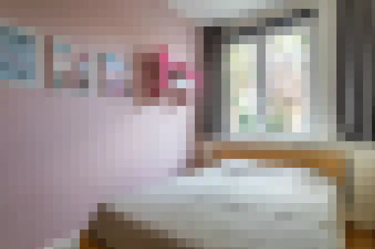 Soestdijksekade 620 Den Haag thumbnail 29