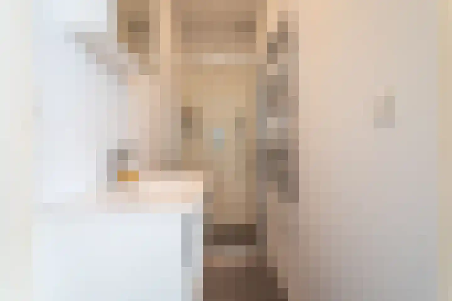 Soestdijksekade 620 Den Haag thumbnail 32