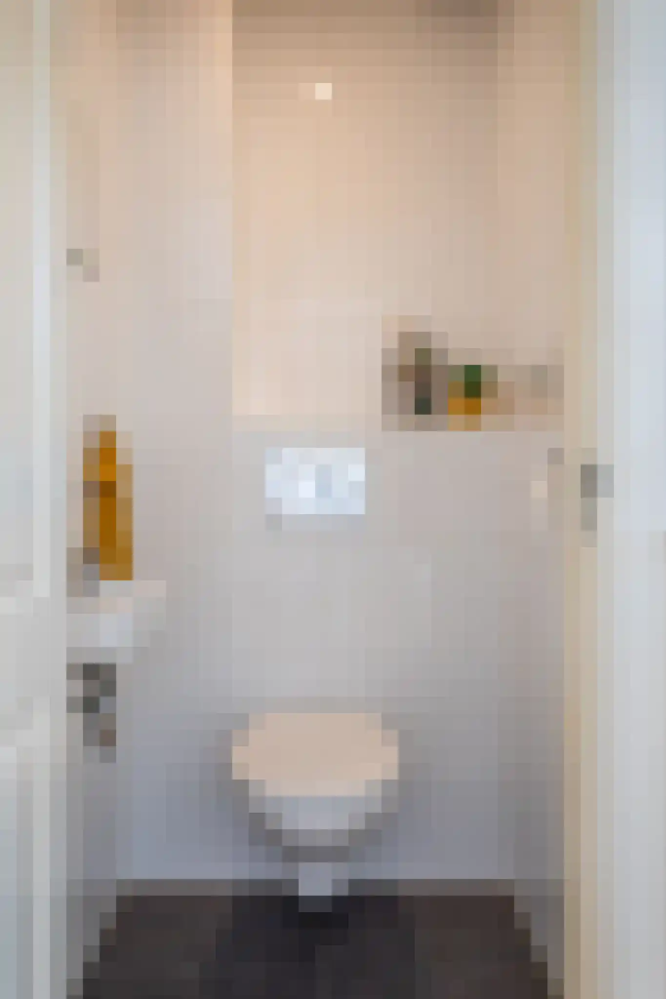 Soestdijksekade 620 Den Haag thumbnail 33