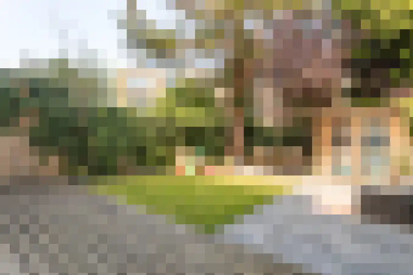Soestdijksekade 620 Den Haag thumbnail 4