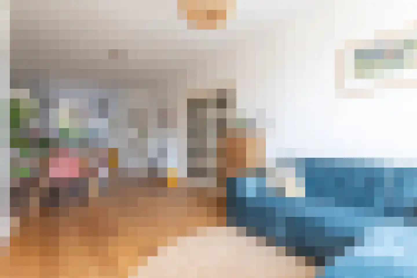 Soestdijksekade 620 Den Haag thumbnail 9