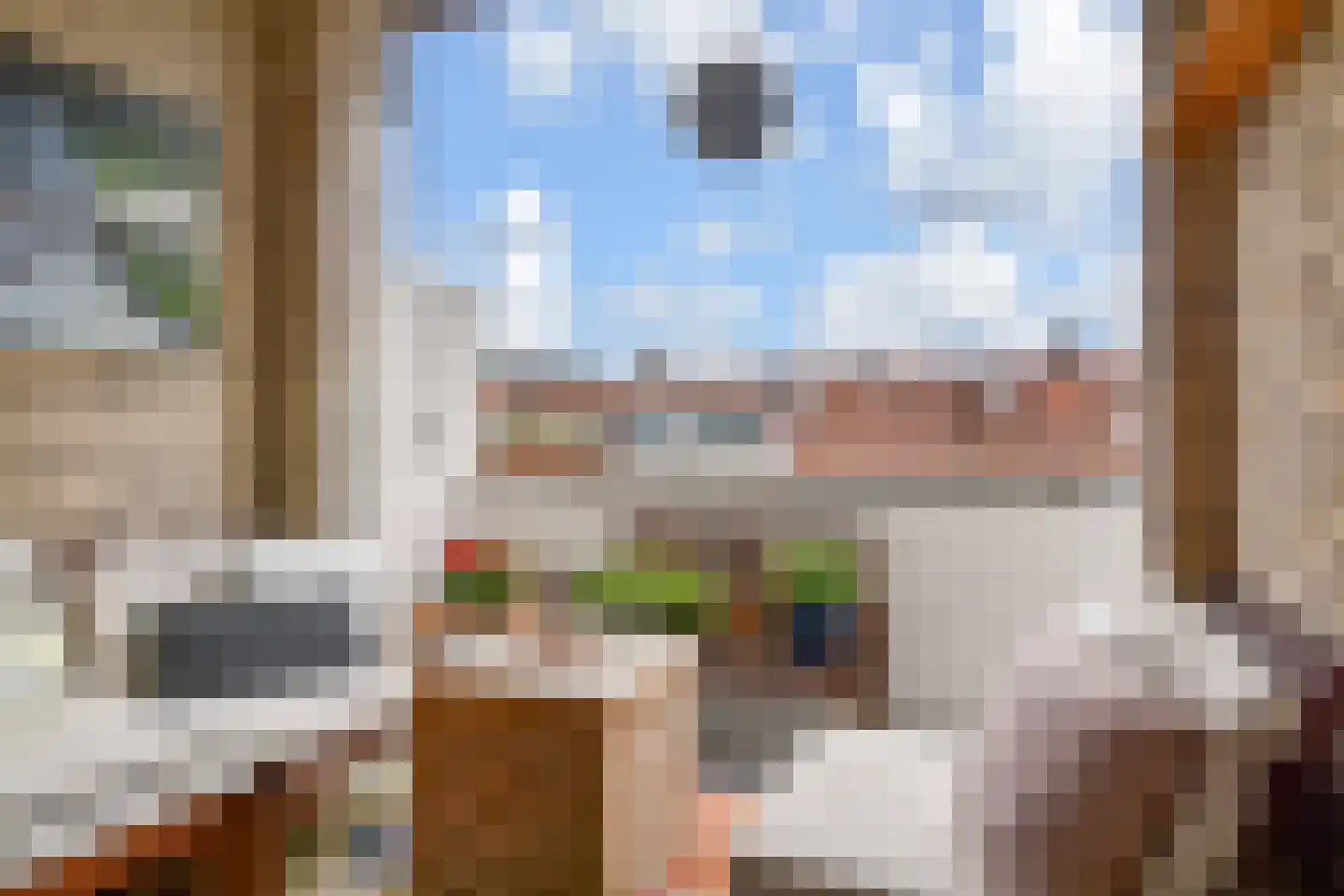 Soestdijksekade 633 Den Haag thumbnail 12