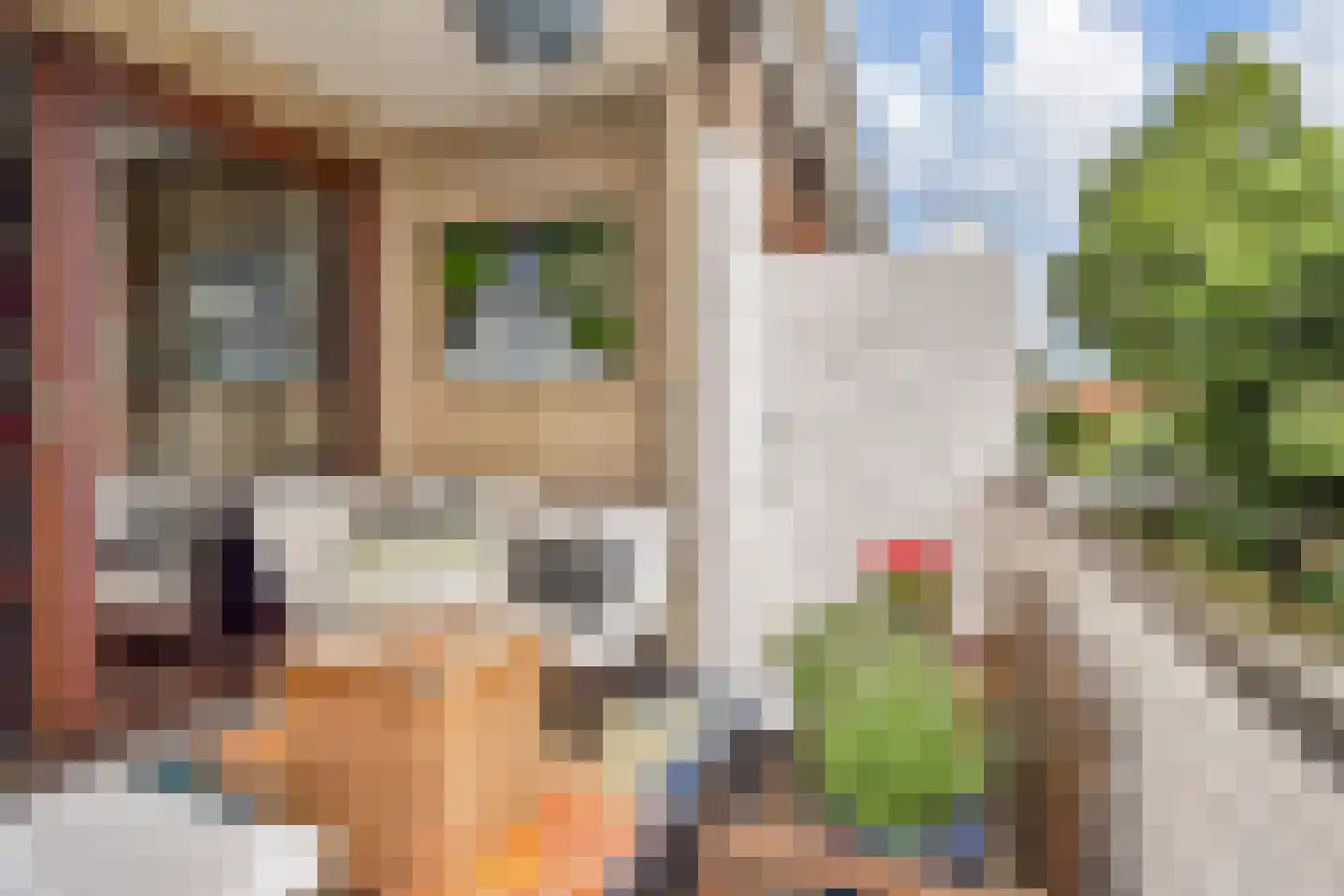 Soestdijksekade 633 Den Haag thumbnail 13