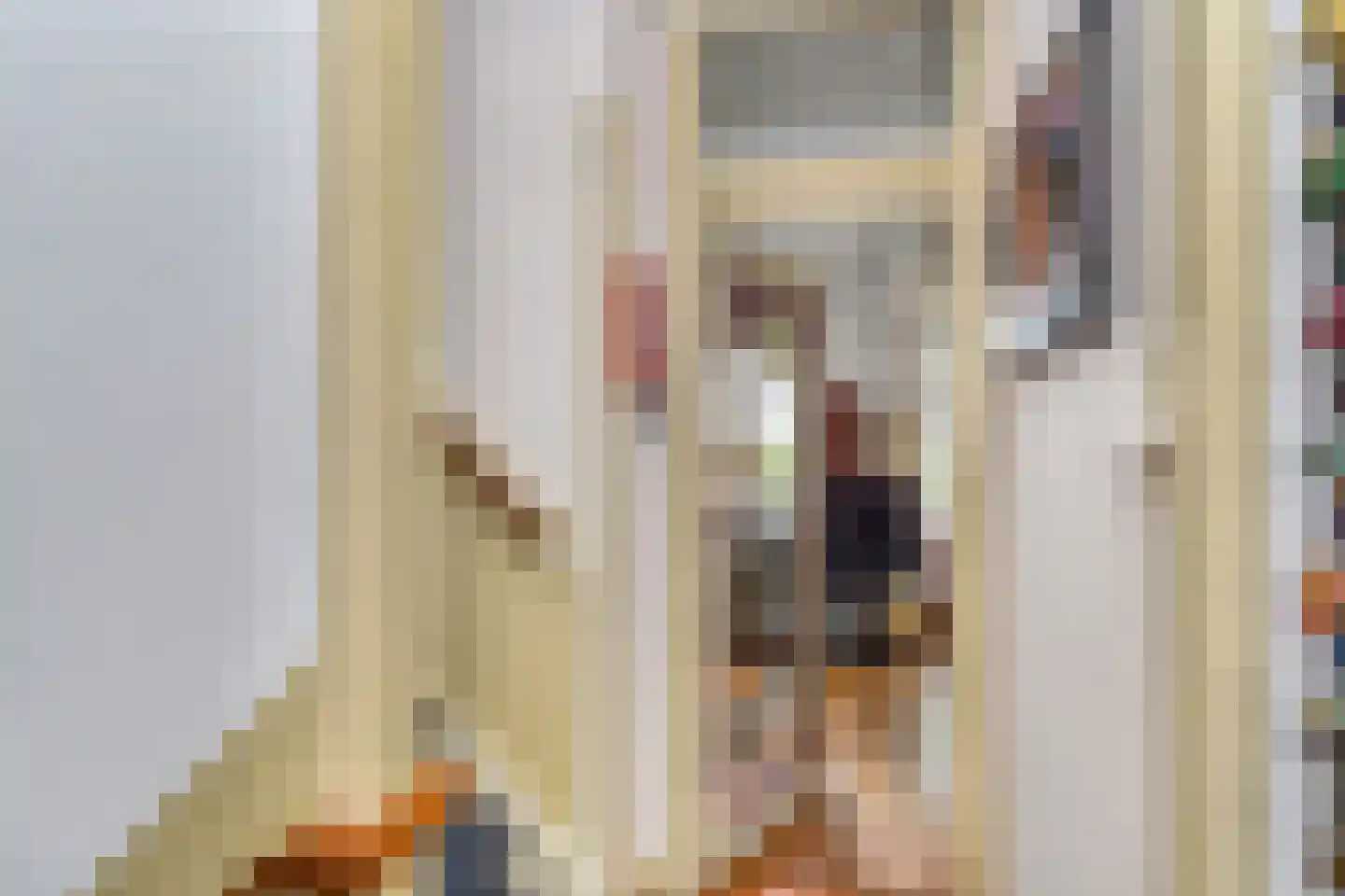 Soestdijksekade 633 Den Haag thumbnail 18