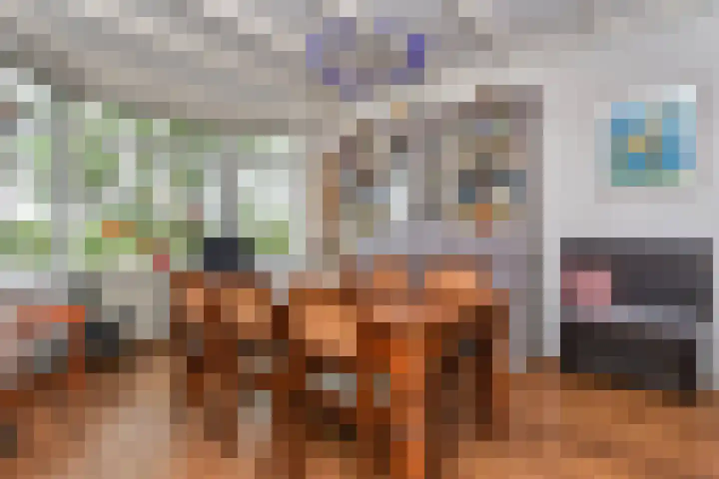 Soestdijksekade 633 Den Haag thumbnail 6
