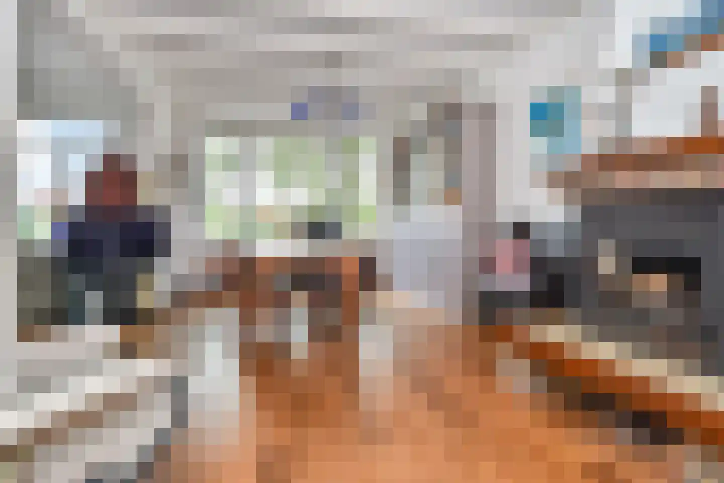 Soestdijksekade 633 Den Haag thumbnail 8