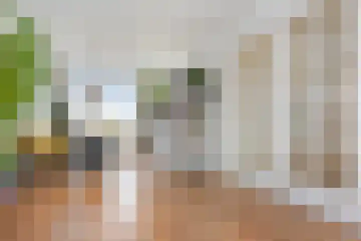 Soestdijksekade 636 Den Haag thumbnail 11