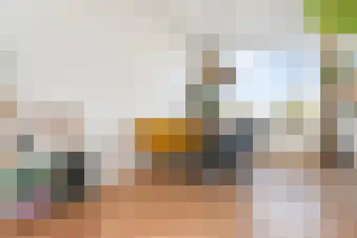 Soestdijksekade 636 Den Haag thumbnail 12