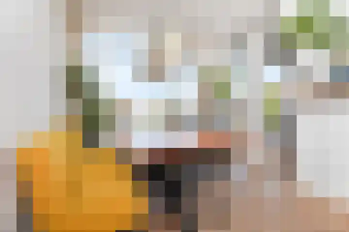 Soestdijksekade 636 Den Haag thumbnail 13
