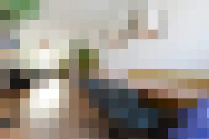 Soestdijksekade 636 Den Haag thumbnail 14