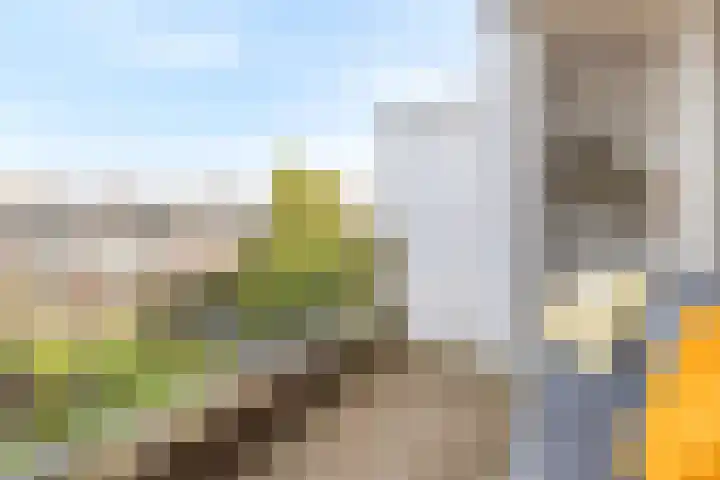 Soestdijksekade 636 Den Haag thumbnail 19