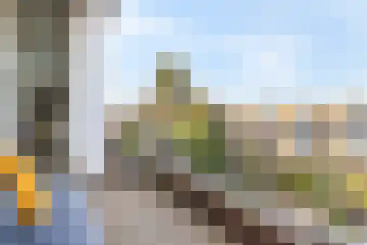 Soestdijksekade 636 Den Haag thumbnail 20
