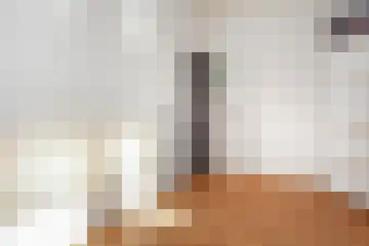 Soestdijksekade 636 Den Haag thumbnail 23