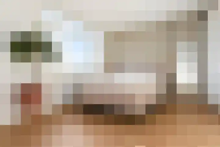 Soestdijksekade 636 Den Haag thumbnail 27