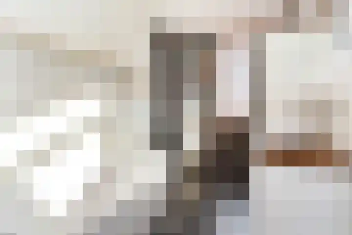 Soestdijksekade 636 Den Haag thumbnail 31