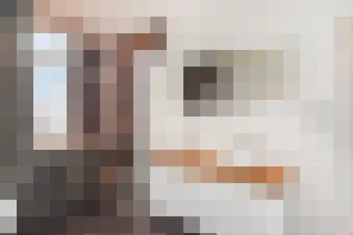 Soestdijksekade 636 Den Haag thumbnail 32