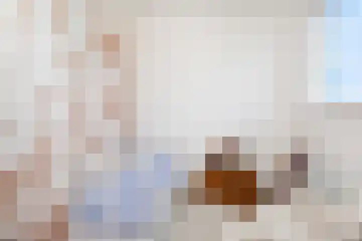 Soestdijksekade 636 Den Haag thumbnail 35