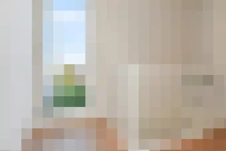 Soestdijksekade 636 Den Haag thumbnail 37