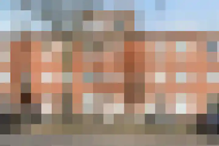 Soestdijksekade 636 Den Haag thumbnail 4