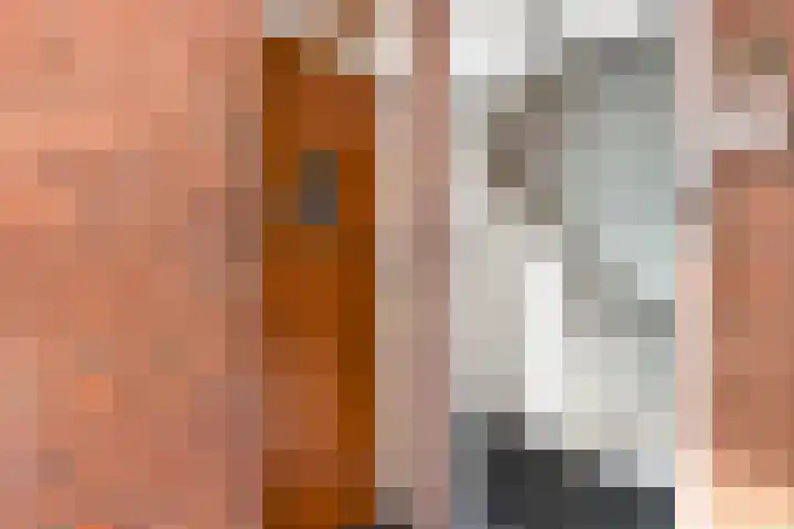 Soestdijksekade 636 Den Haag thumbnail 5