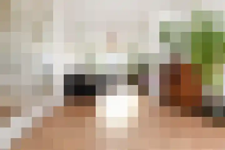 Soestdijksekade 636 Den Haag thumbnail 9