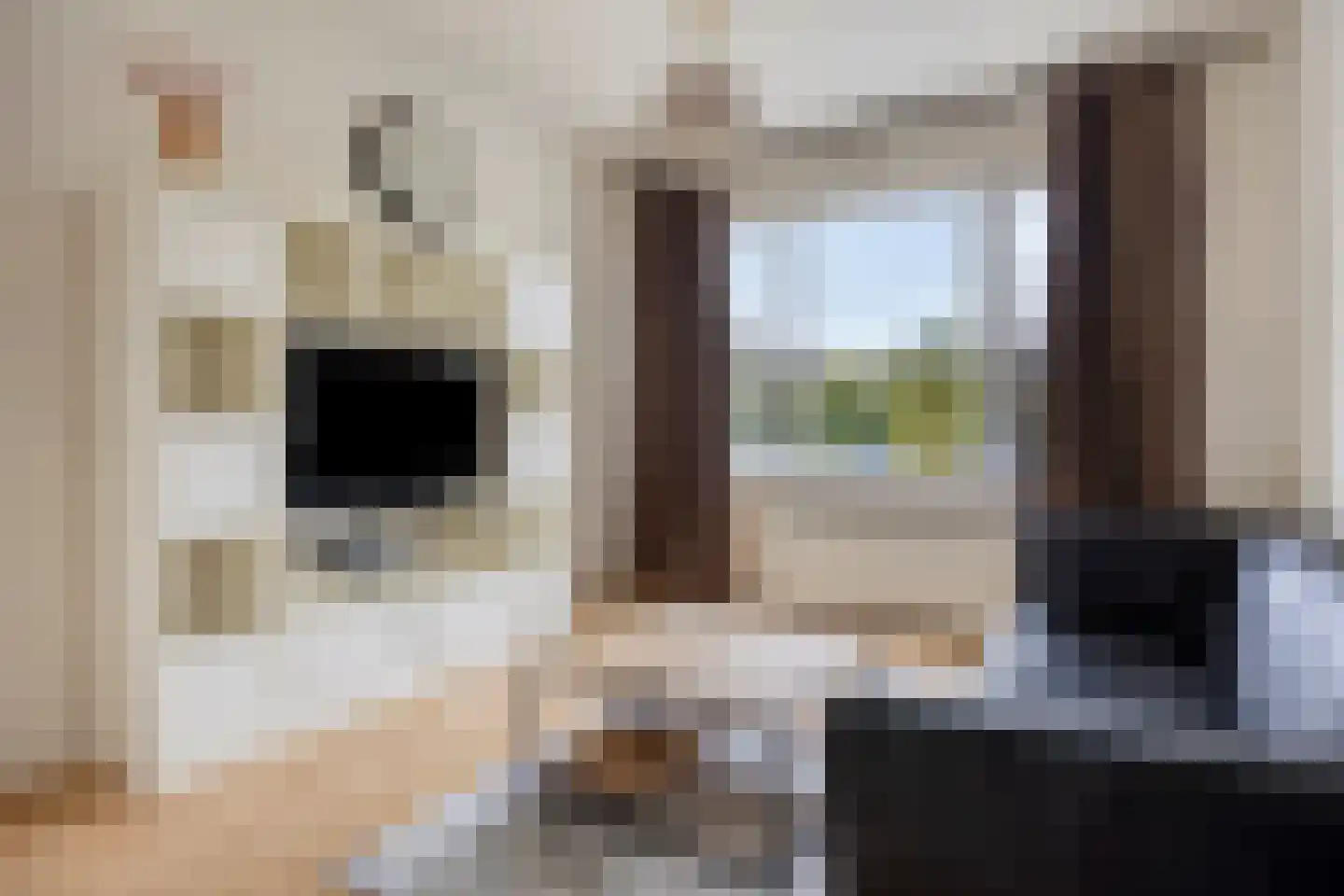 Soestdijksekade 640 Den Haag thumbnail 12