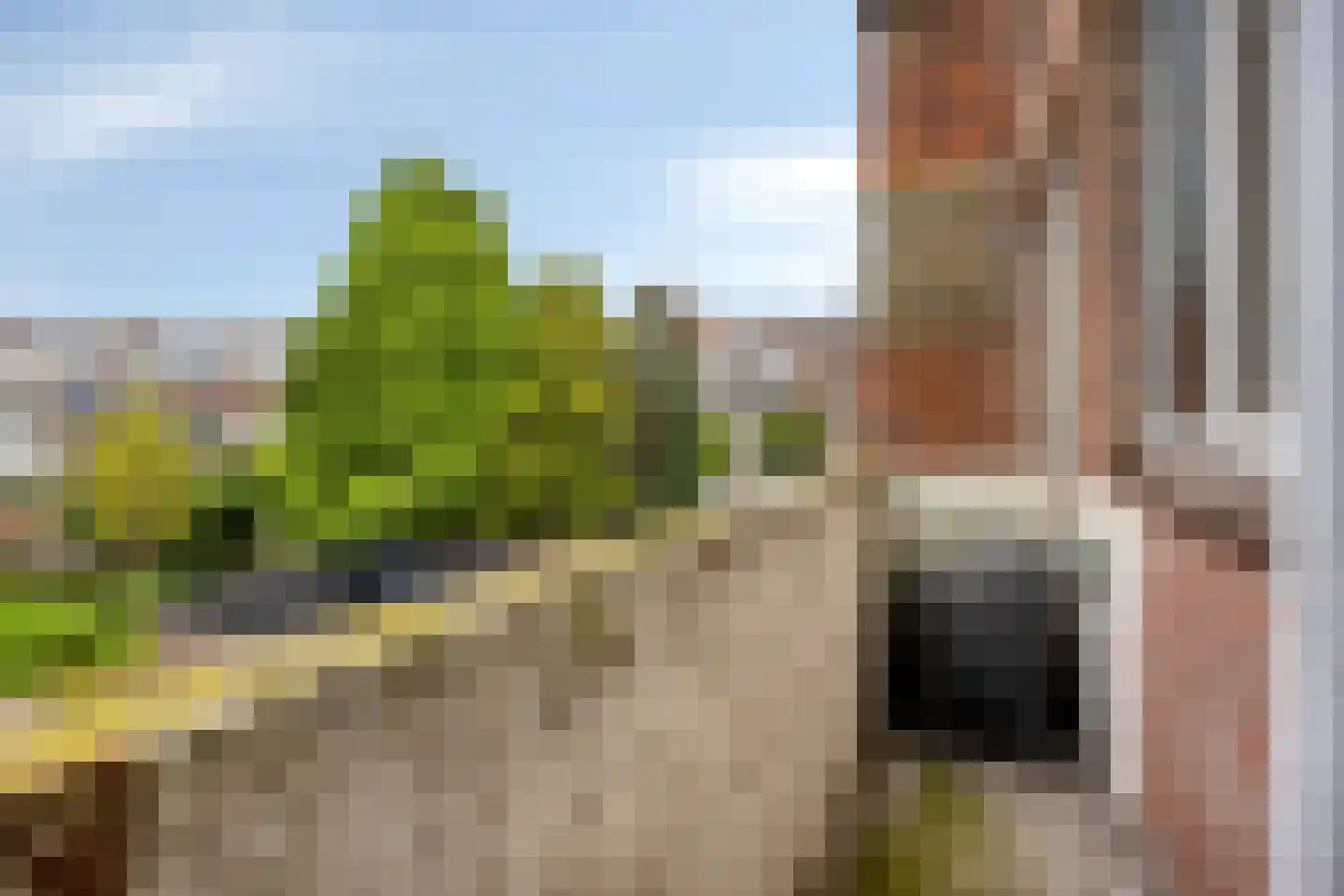 Soestdijksekade 640 Den Haag thumbnail 17