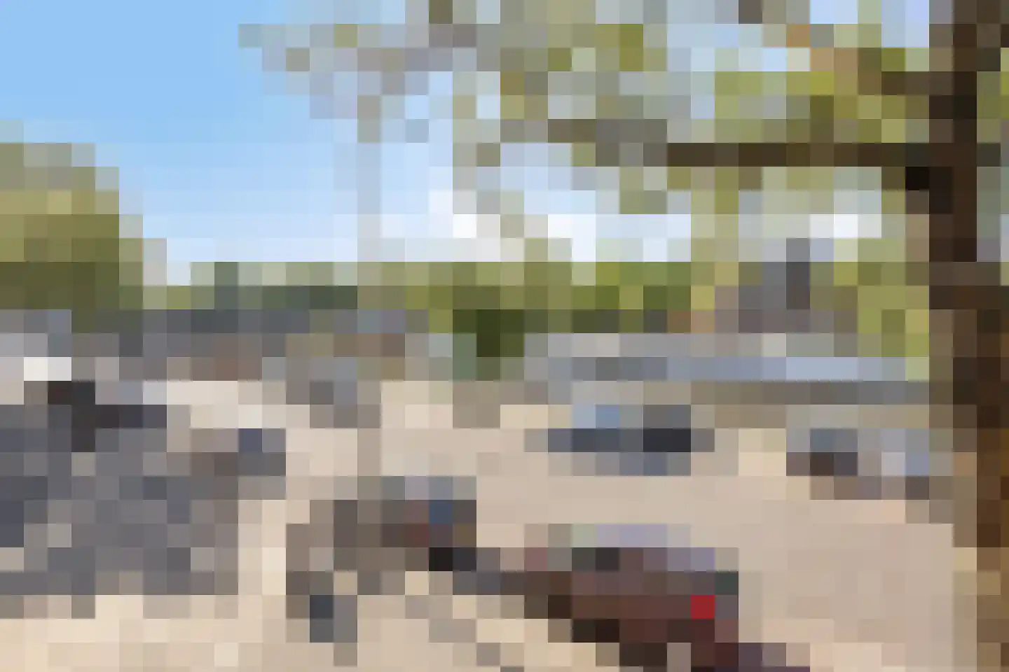 Soestdijksekade 640 Den Haag thumbnail 5