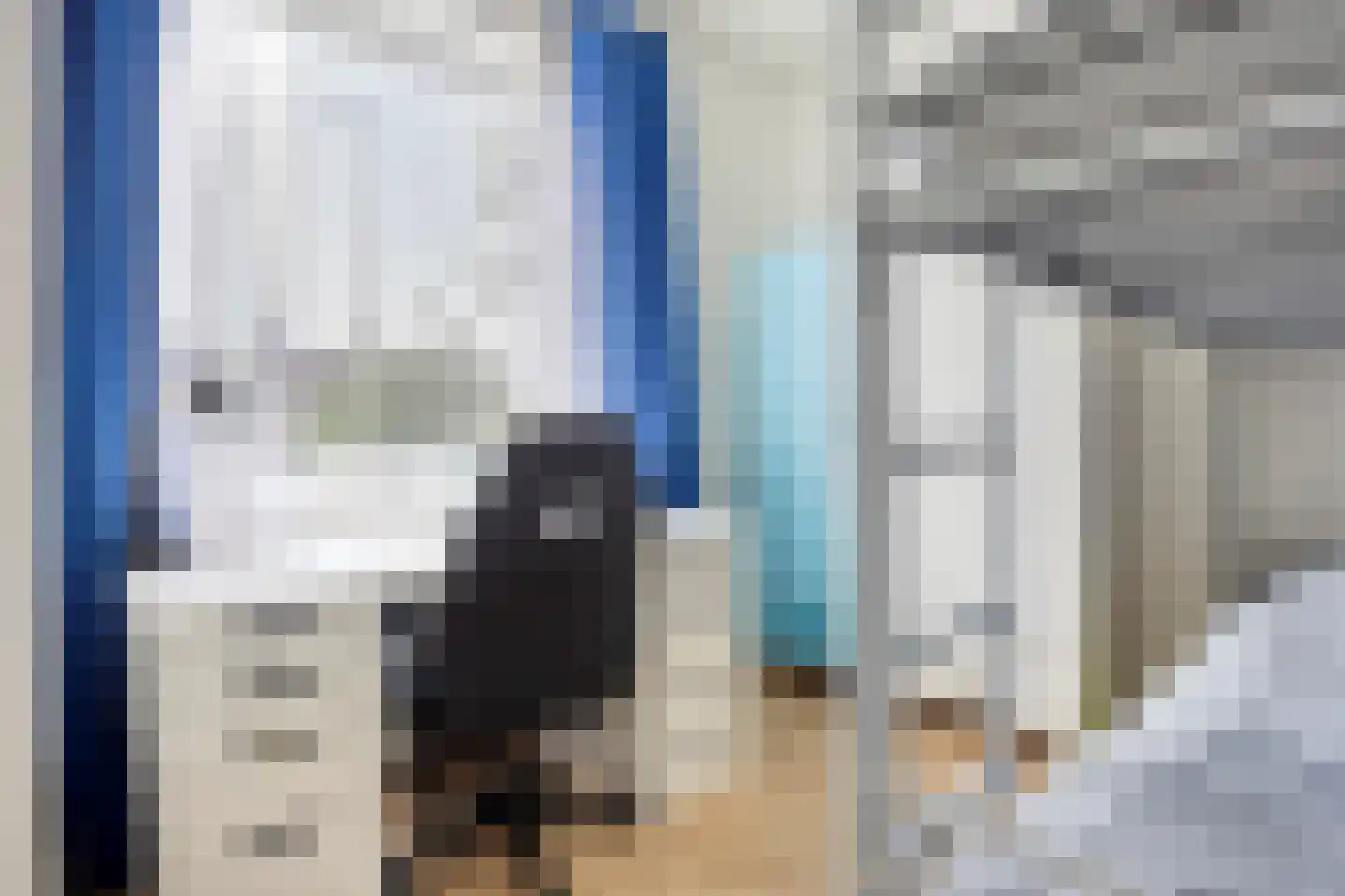 Soestdijksekade 640 Den Haag thumbnail 8