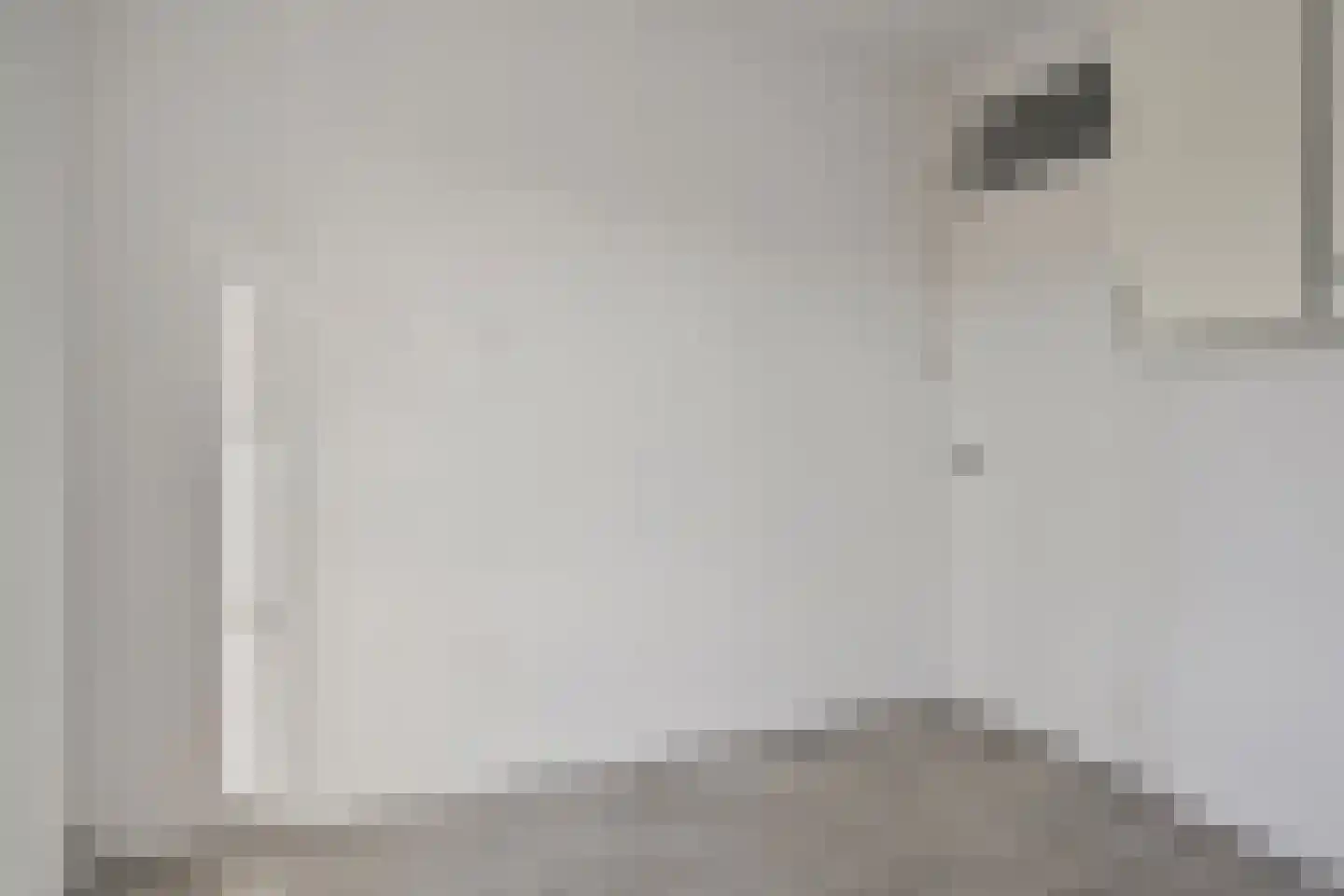 Soestdijksekade 658 Den Haag thumbnail 8