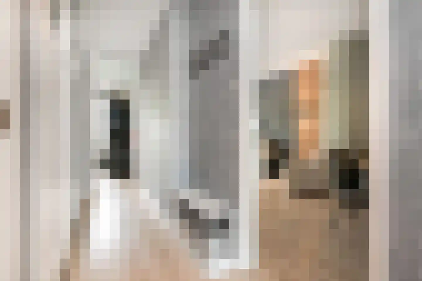 Soestdijksekade 659 Den Haag thumbnail 10