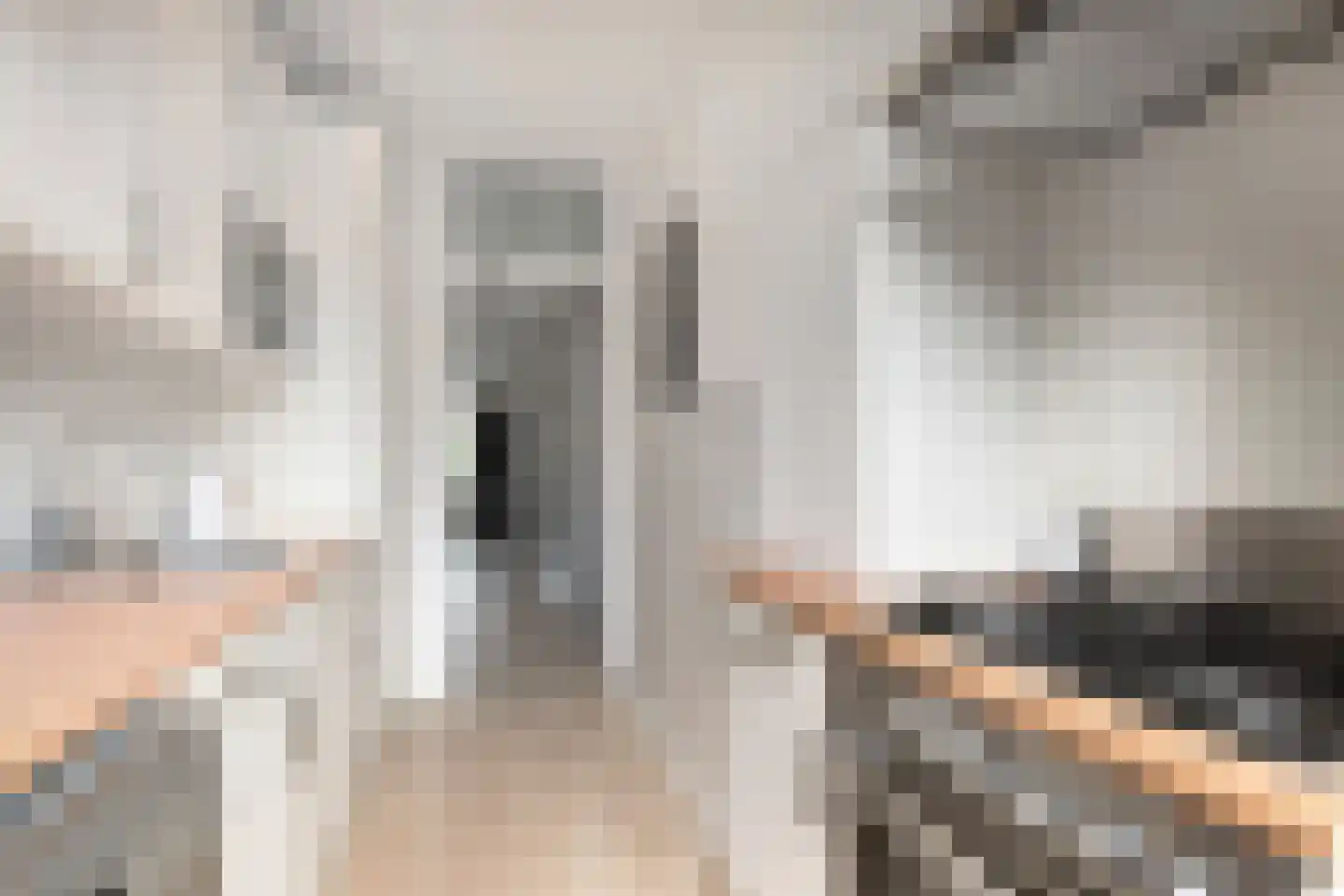 Soestdijksekade 659 Den Haag thumbnail 11