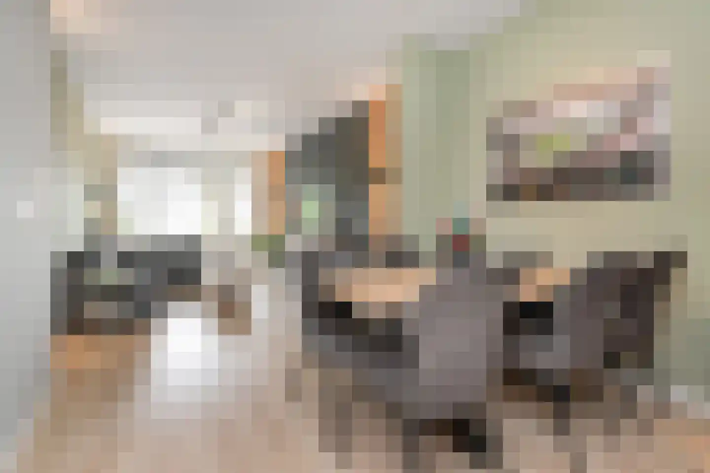 Soestdijksekade 659 Den Haag thumbnail 12